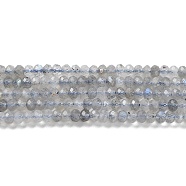 Natural Labradorite Beads Strands, Faceted, Rondelle, 3x2mm, about 170pcs/strand, 15.5 inch(39.37cm)(G-L587-B01-01)