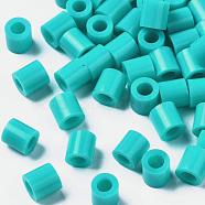 PE Fuse Beads, DIY Melty Beads, Tube, Medium Turquoise, 5x5mm, Hole: 3mm, about 8000pcs/500g(DIY-R013-88)