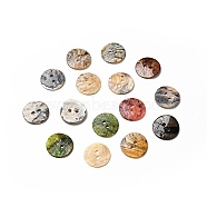 Mother of Pearl Buttons, Akoya Shell Button, Dyed, Flat Round, Mixed Color, 15x1mm, Hole: 1.5mm(SHEL-J001-M06)