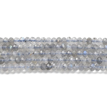 Natural Labradorite Beads Strands, Faceted, Rondelle, 3x2mm, Hole: 0.7mm, about 170pcs/strand, 15.5''(39.37cm)