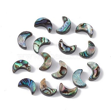 Colorful Moon Paua Shell Beads