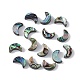 Natural Abalone Shell/Paua Shell Beads(SSHEL-M021-05)-1
