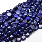 Natural Lapis Lazuli Gemstone Nuggets Bead Strands, Tumbled Stone, 9~12x8~13x5~7mm, Hole: 1mm, about 15.3 inch~15.7 inch(X-G-J336-31)