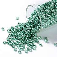 TOHO Round Seed Beads, Japanese Seed Beads, (561) Galvanized Southwest Green, 8/0, 3mm, Hole: 1mm, about 1110pcs/50g(SEED-XTR08-0561)