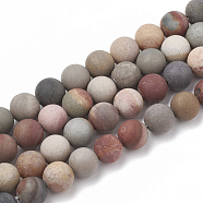Natural America Picture Jasper Beads Strands, Frosted, Round, 10mm, Hole: 1.2mm, about 37~40pcs/strand, 14.9~15.1 inch(38~38.5cm)(G-T106-167)