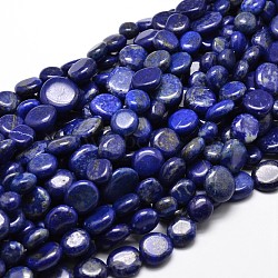 Natural Lapis Lazuli Gemstone Nuggets Bead Strands, Tumbled Stone, 9~12x8~13x5~7mm, Hole: 1mm, about 15.3 inch~15.7 inch(X-G-J336-31)