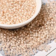 6/0 Transparent Glass Seed Beads, Inside Colours, Round Hole, Round, PeachPuff, 3.5~4x3mm, Hole: 2mm, about 450g/bag(SEED-F003-03A-12)