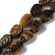Natural Tiger Eye Beads Strands, Leaf, 14~14.5x10~10.5x5.5~6mm, Hole: 1.2mm, about 15pcs/strand, 8.43''(21.4cm)(G-M418-A06-01)