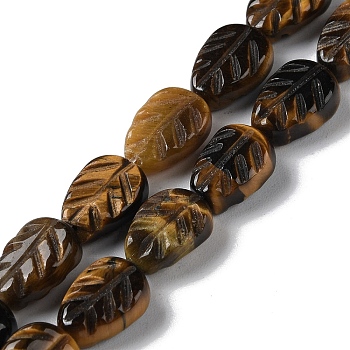Natural Tiger Eye Beads Strands, Leaf, 14~14.5x10~10.5x5.5~6mm, Hole: 1.2mm, about 15pcs/strand, 8.43''(21.4cm)