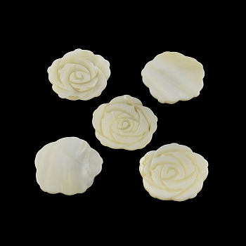 Flower Freshwater Shell Cabochons, 44~45x3~5mm