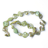 Natural Sea Shell Beads, Irregular, Green, 14~23x18~20mm, Hole: 1mm, 22pcs/strand, 16 inch/strand(S00EA041)