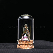 Natural Raw Bismuth Display Decoration, Reiki Energy Stone Cloche Bell Jar Ornaments, Arch, Different Shapes and Sizes, 30x55mm(G-PW0007-070A)