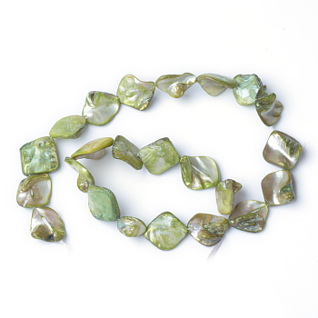 Natural Sea Shell Beads, Irregular, Green, 14~23x18~20mm, Hole: 1mm, 22pcs/strand, 16 inch/strand
