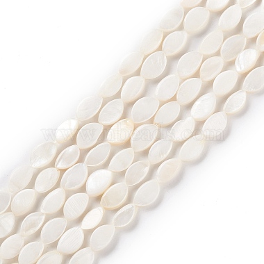 Natural Freshwater Shell Beads Strands(BSHE-E028-03)-2