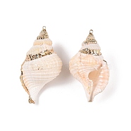 Natural Conch Shell Big Pendants, Shell Shaped Charms with Golden Tone Iron Loops, Seashell Color, 42~75x23~40.5x19~34mm, Hole: 1.4~1.8mm(SSHEL-N038-23)