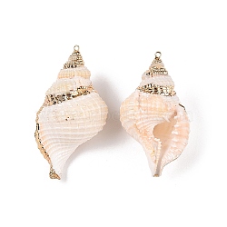 Natural Conch Shell Big Pendants, Shell Shaped Charms with Golden Tone Iron Loops, Seashell Color, 42~75x23~40.5x19~34mm, Hole: 1.4~1.8mm(SSHEL-N038-23)