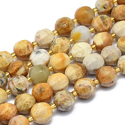 Natural Fossil Coral Beads Strands, Round, Faceted, 9~10mm, Hole: 1.4mm, about 34pcs/Strand, 15.16 inch(38.5cm)(G-K306-A07-10mm)