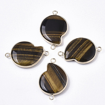 Natural Tiger Eye Links Connectors, with Light Gold Brass Edge, Spiral Shell Shape, 33~34x22x5.5mm, Hole: 2mm
