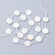 Natural White Shell Beads(X-SSHEL-Q298-06)-2