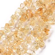 Natural Citrine Chip Beads Strands, Dyed & Heated, 5~14x4~10mm, Hole: 1mm, about 15.5 inch~16.1 inch(G-E271-100)