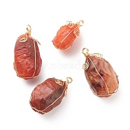 Natural Carnelian Pendants, with Golden Tone Copper Wire Wrapped, Nuggets Charm, 33.5~46x15~24x17~23mm, Hole: 3~4mm(PALLOY-JF01721)
