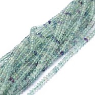 Natural Fluorite Beads Strands, Faceted, Rondelle, 2.5~3.5x1.5mm, Hole: 0.6mm, about 90pcs/strand, 15.35(39cm)(G-I249-D08-02)
