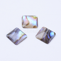 Natural Paua Shell Cabochons, Square, 6x6x1mm(SSHEL-F301-25)