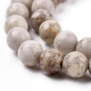 Natural Maifanite/Maifan Stone Beads Strands(G-F353-6mm)-4