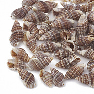 Sea Shell Beads, Undrilled/No Hole Beads, Rosy Brown, 9~14x6~8x4~6mm, about 2270pcs/500g(SSHEL-S258-03)