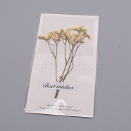 Paper Cards, with Dried Flower, for Bridal Shower, Wedding, Parties & More, Light Yellow, 160x90x4mm(DIY-WH0183-41G)