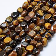 Natural Tiger Eye Beads Strands, Tumbled Stone, Nuggets, 8~15x5~10mm, Hole: 1mm, 15.3 inch~15.7 inch(39~40cm)(G-K203-28A)