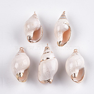 Electroplate Spiral Shell Pendants, with Iron Findings, Light Gold, Seashell Color, 31~35x16~20x14~17mm, Hole: 1.5mm(SSHEL-T006-15)