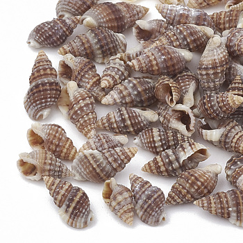 Sea Shell Beads, Undrilled/No Hole Beads, Rosy Brown, 9~14x6~8x4~6mm, about 2270pcs/500g
