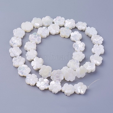 Shell Beads Strands(SSHEL-E571-35)-2