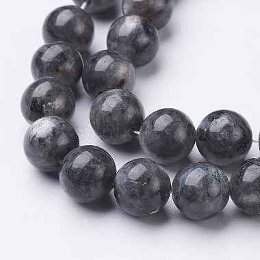 Natural Larvikite Beads Strands(X-GSR10mmC128)-2