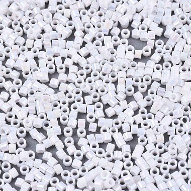 11/0 Grade A Baking Paint Glass Seed Beads(X-SEED-S030-0401)-2