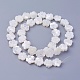Shell Beads Strands(SSHEL-E571-35)-2