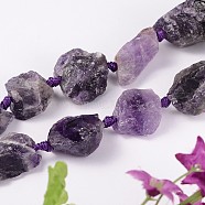 Natural Amethyst Nuggets Bead Strands, 21~31x14~24mm, Hole: 1mm, about 15pcs/strand, 15.74 inch(G-L366-01)