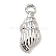 304 Stainless Steel Pendants, Conch Charms, Stainless Steel Color, 18x7.5x3.5mm, Hole: 2mm(STAS-A066-03P)