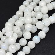 Natural Rainbow Moonstone Beads Strands, Round, 11~11.5mm, Hole: 0.8~1mm, about 33pcs/strand, 15.3~15.7 inch(39~40cm)(G-F602-03-12mm)