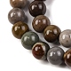 Natural Picture Jasper Beads Strands(G-H037-A01-04)-4