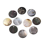 Natural Black Lip Shell Disc Charms, 11.5~12x0.5~1mm, Hole: 1.4mm(BSHE-T014-41A)