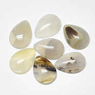 Natural Banded Agate/Striped Agate Cabochons, Dyed, Teardrop, WhiteSmoke, 25x18x6~7mm(G-T122-23J)