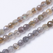 Natural Labradorite Beads Strands, Faceted, Round, 4mm, Hole: 0.8mm, about 102pcs/strand, 15.7 inch(40cm)(G-F568-199-4mm)