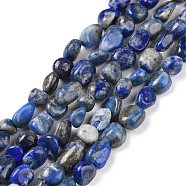 Natural Lapis Lazuli Beads Strands, Tumbled Stone, Nuggets, 8~10x6~7x4~5mm, Hole: 0.6mm, about 51pcs/strand, 15.16''(38.5cm)(G-F575-01F)