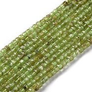 Natural Peridot Beads Strands, Grade AB, Faceted, Square, 2.5x2.5x2.5mm, Hole: 0.6mm, about 166~176pcs/strand, 15.71''~15.87''(39.9~40.3cm)(G-M421-B04-02)