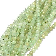 Natural Prehnite Beads Strands, Round, 4mm, Hole: 0.8mm, about 84pcs/strand, 15.55 inch(39.5cm)(G-O201A-06E)