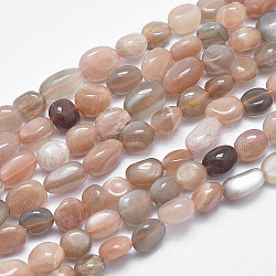 Natural Multi-Moonstone Beads Strands, Tumbled Stone, Nuggets, 8~12x7~9mm, Hole: 0.8mm, 15.1 inch(38.5cm)(G-F547-06-B)