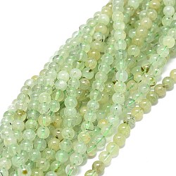 Natural Prehnite Beads Strands, Round, 4mm, Hole: 0.8mm, about 84pcs/strand, 15.55 inch(39.5cm)(G-O201A-06E)