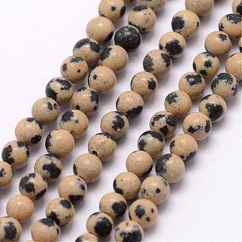 Natural Dalmatian Jasper Bead Strands, Round, 3~3.5mm, Hole: 0.7mm, about 115~125pcs/strand, 16 inch